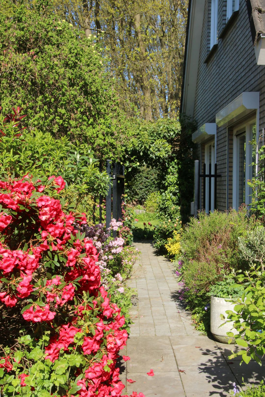 Foto 38 van Veenmos 10