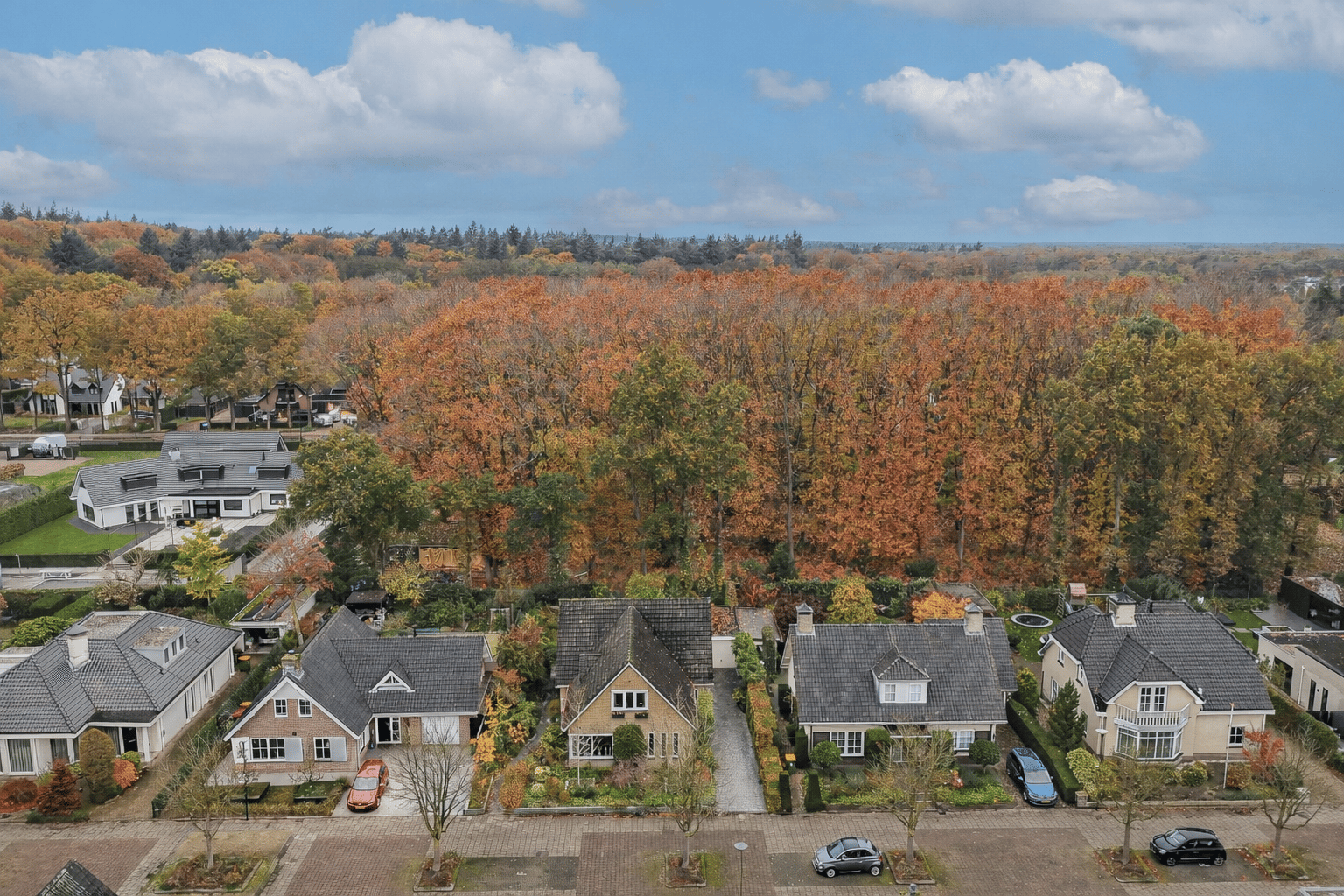 Foto 42 van Veenmos 10