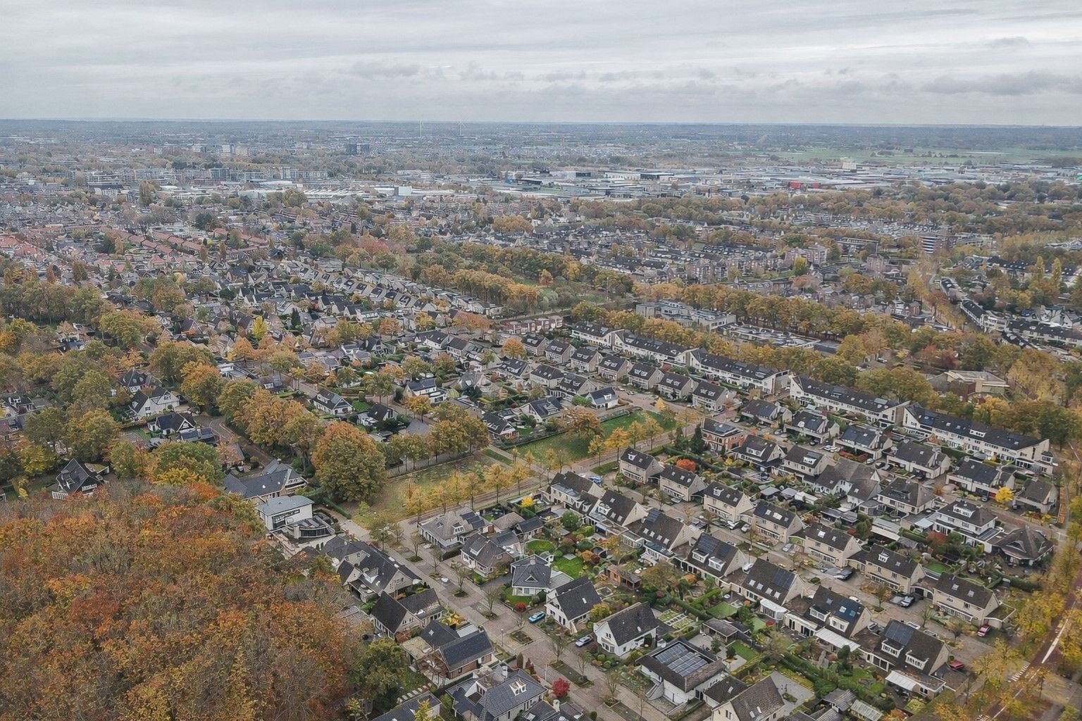 Foto 45 van Veenmos 10