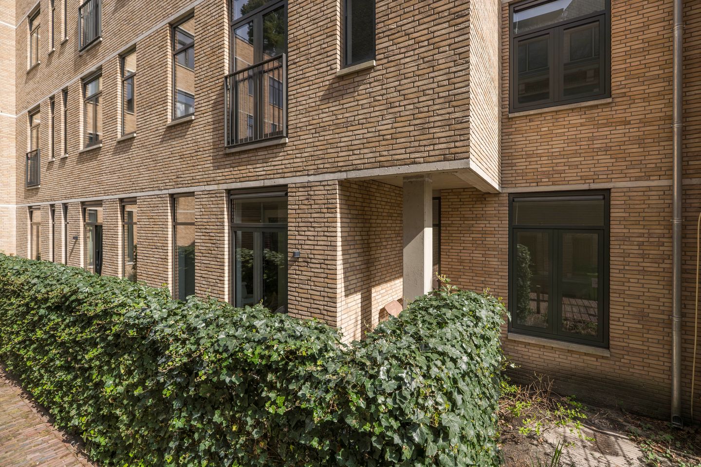 Foto 5 van Velperweg 19-2