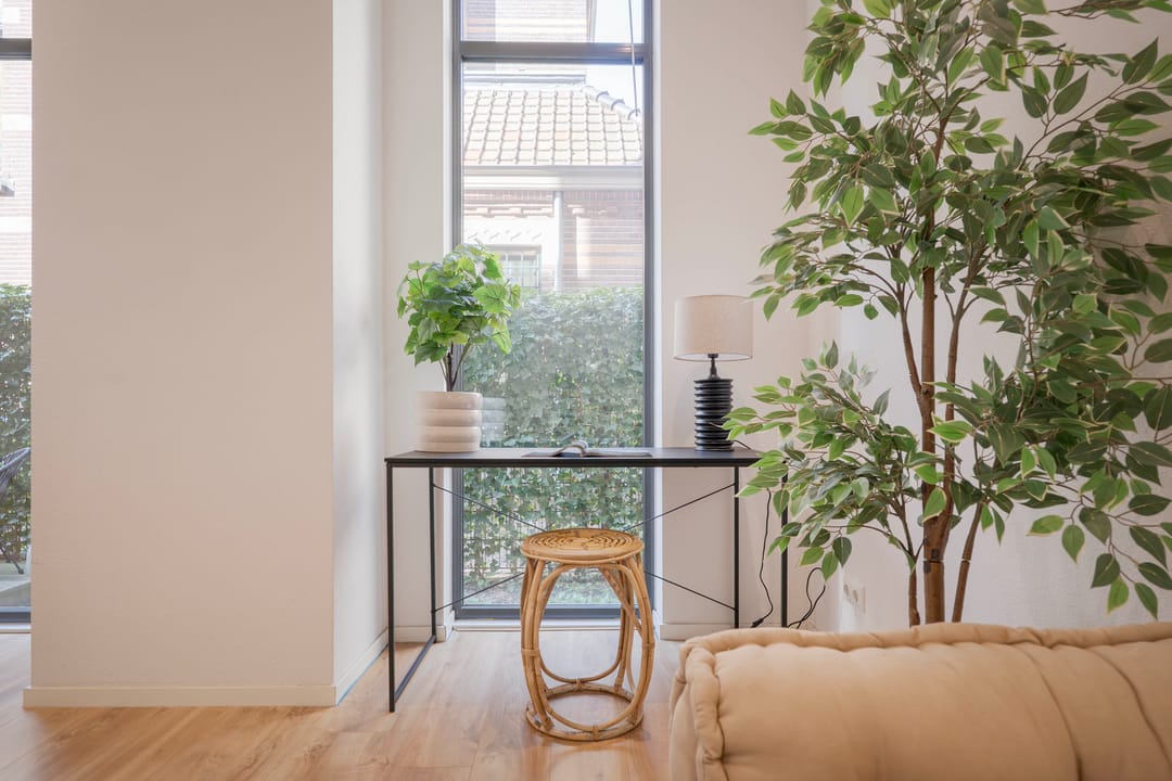 Foto 11 van Velperweg 19-2