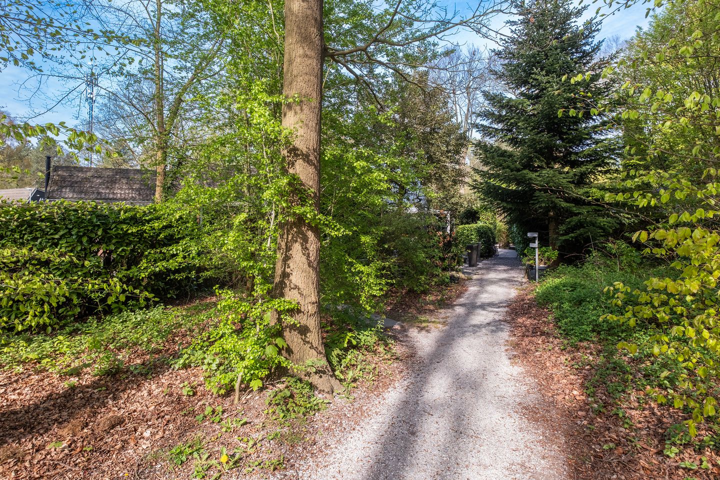 Foto 20 van Bijsselseweg 11-42