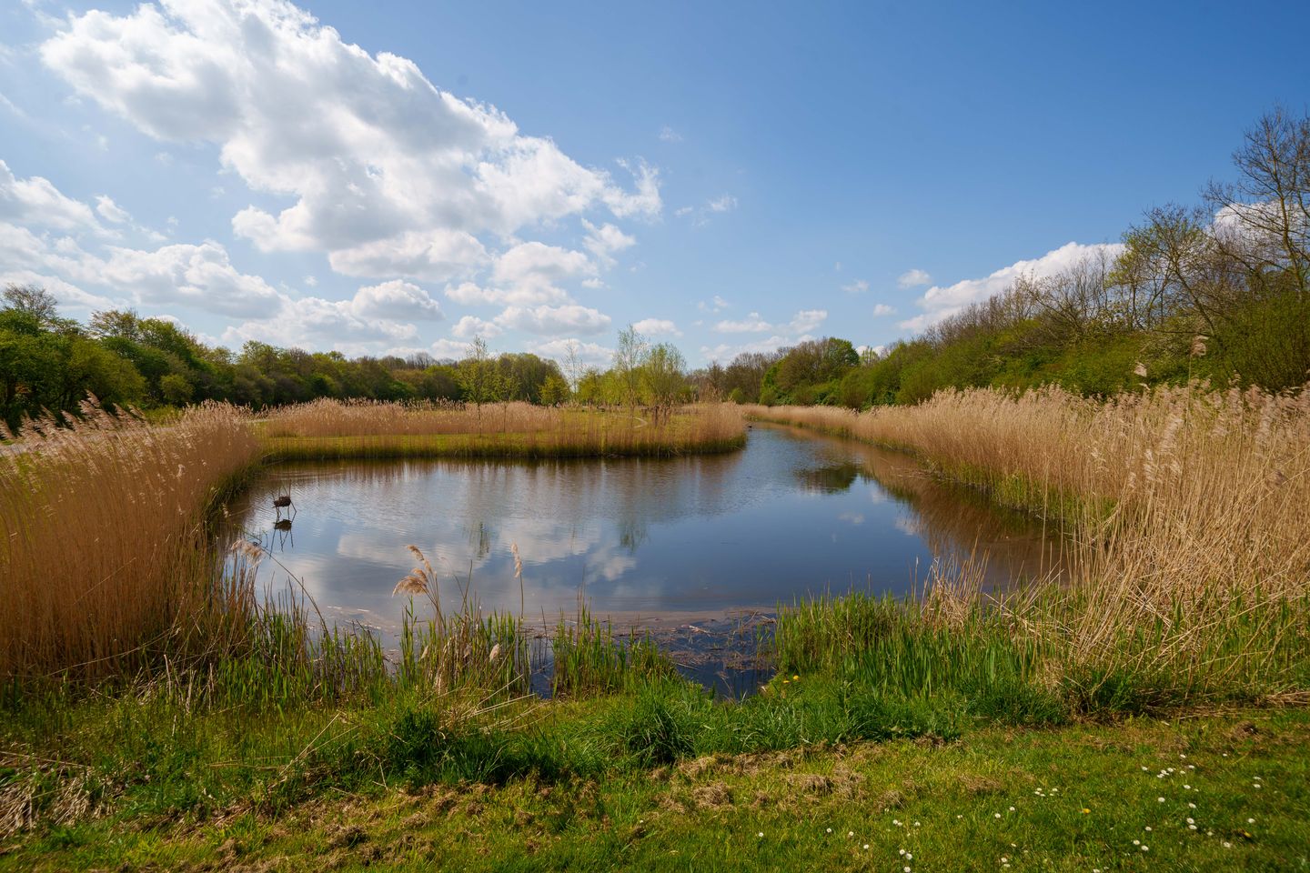 Photo 70 of Wielewaallaan 2