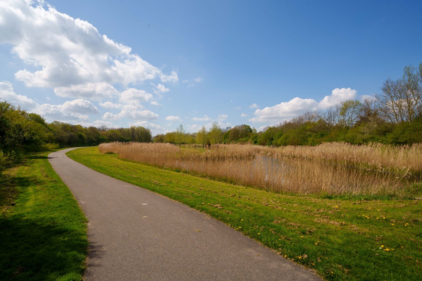 Photo 74 of Wielewaallaan 2