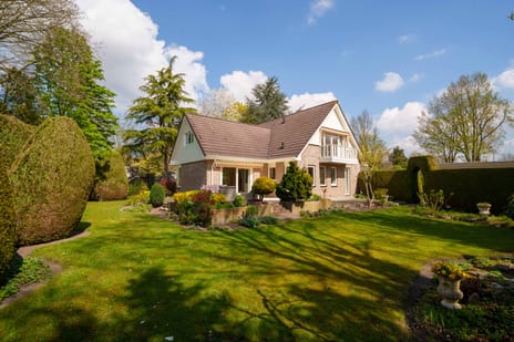 Wielewaallaan thumbnail