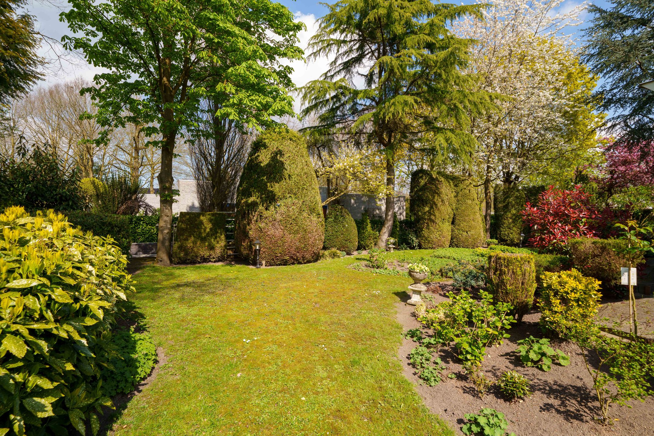 Photo 57 of Wielewaallaan 2