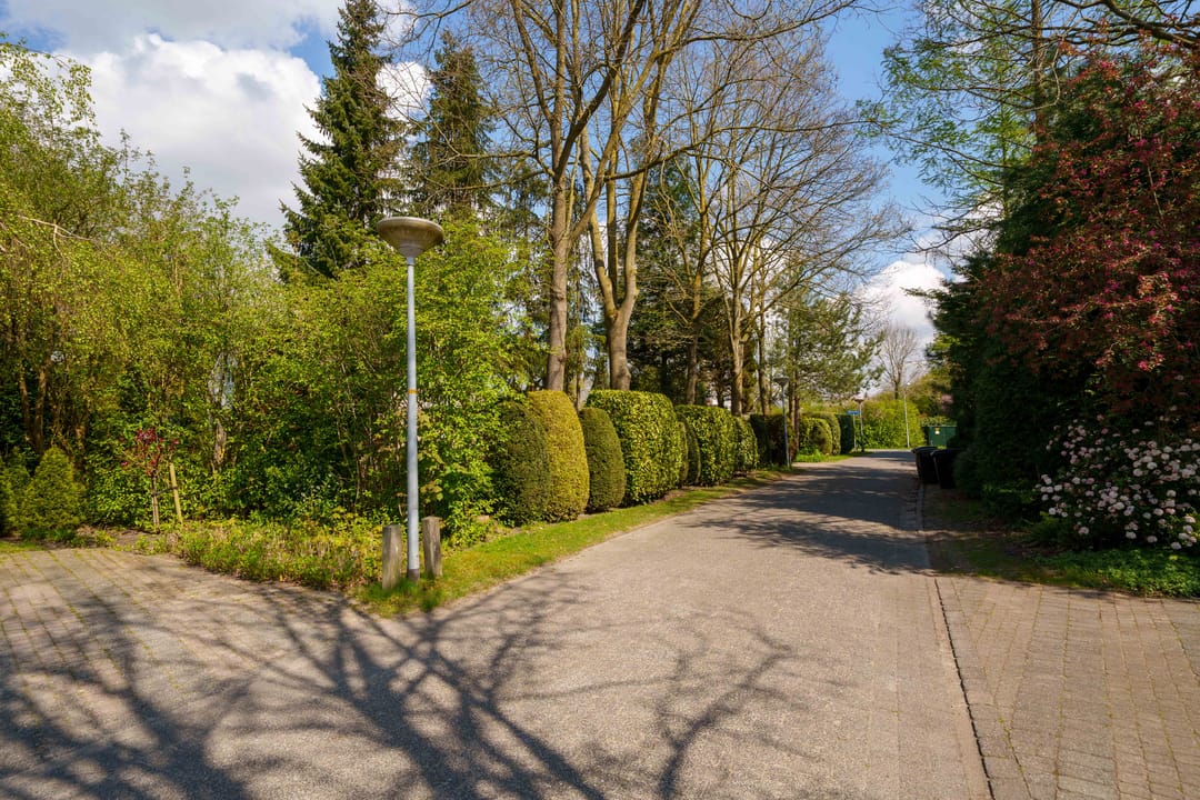 Photo 68 of Wielewaallaan 2