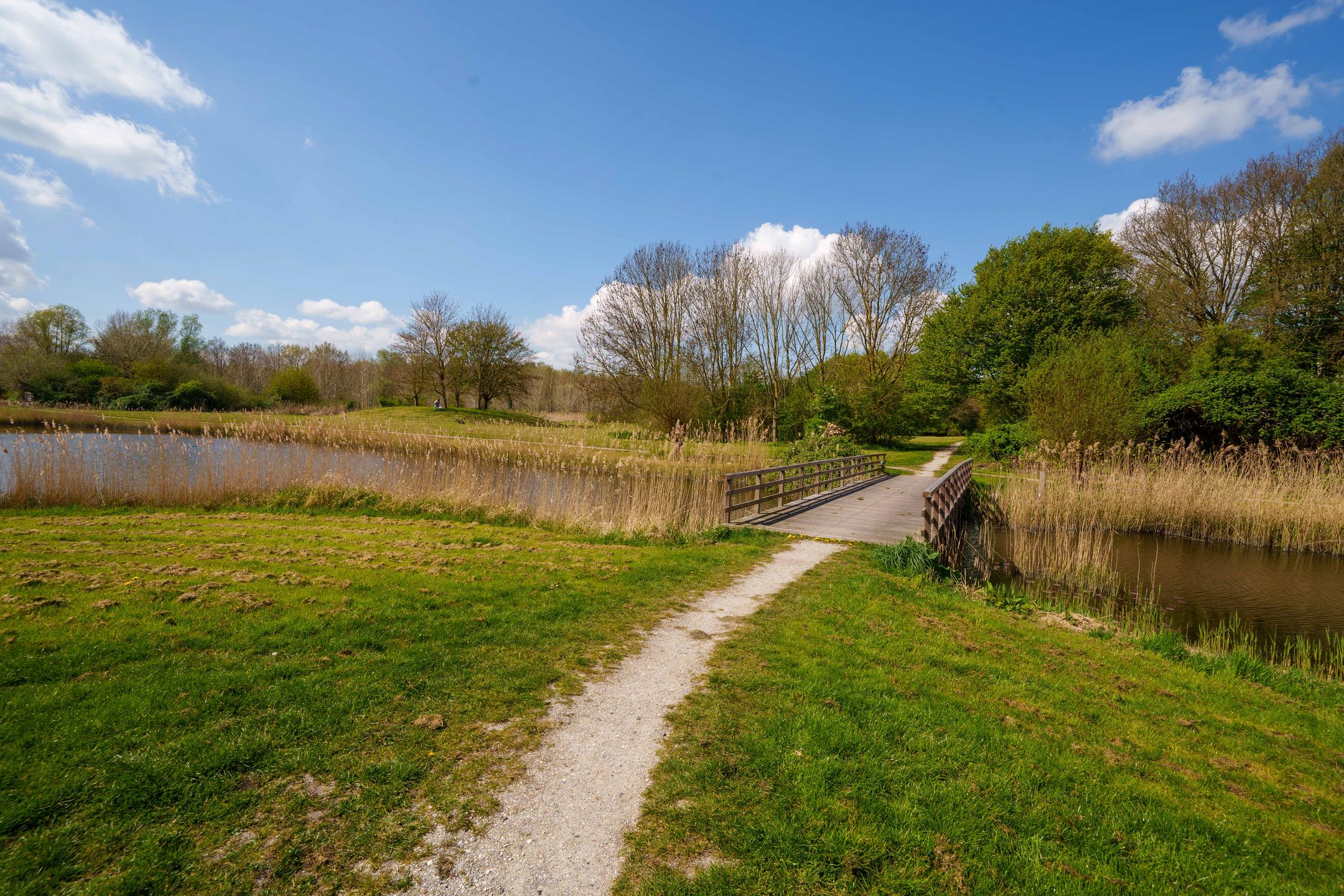 Photo 72 of Wielewaallaan 2