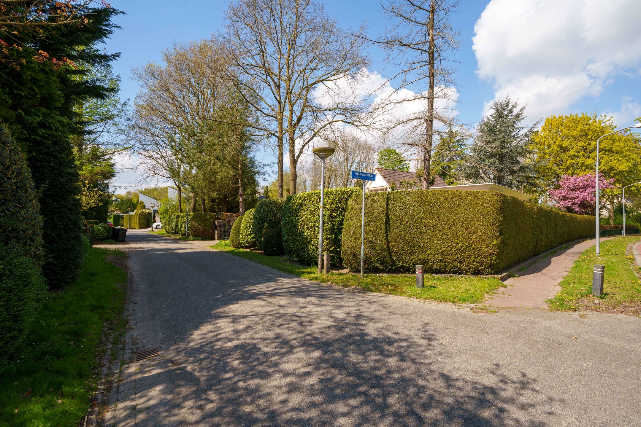 Photo 66 of Wielewaallaan 2