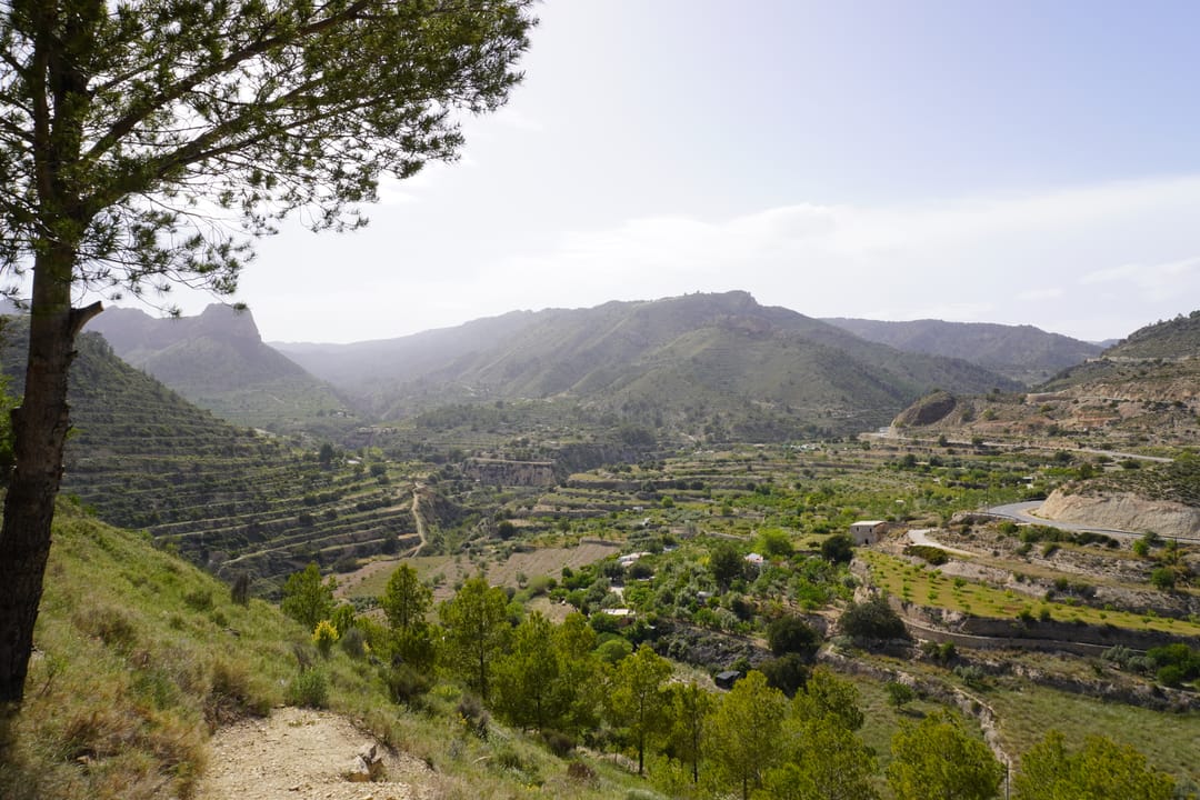 Foto 11 van Salinas Relleu