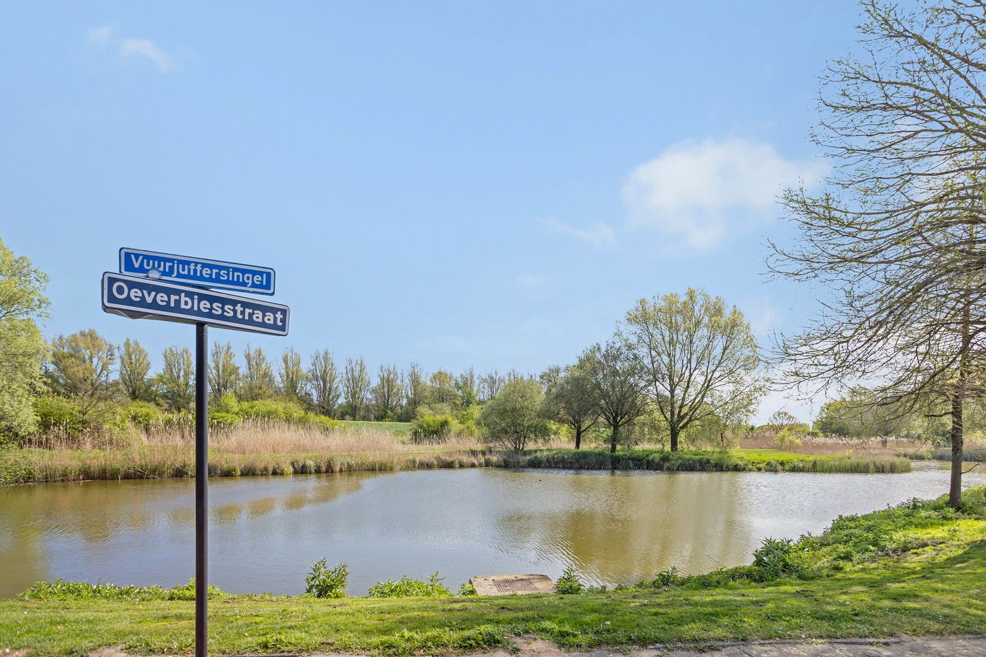 Foto 29 van Oeverbiesstraat 5