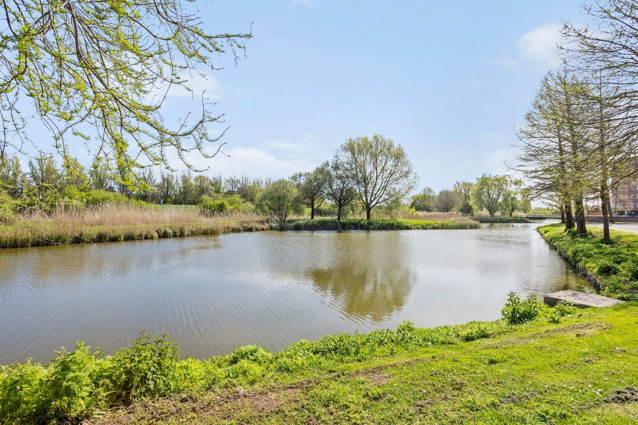 Foto 30 van Oeverbiesstraat 5