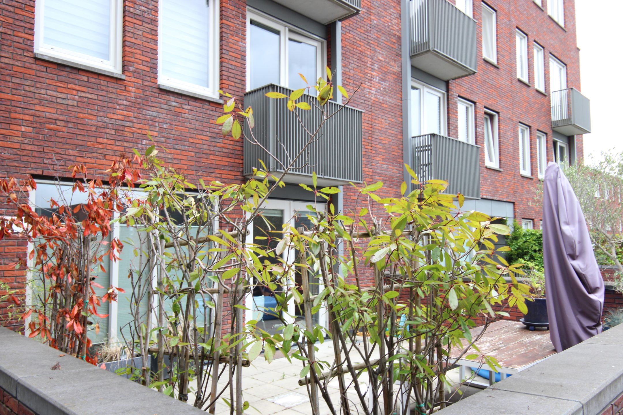 Foto 12 van Peltenburgstraat 15