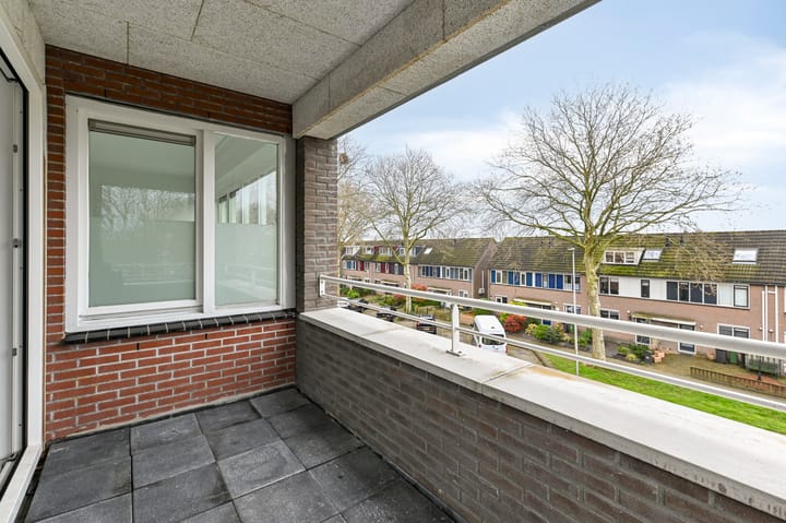 Foto 3 van Algengroen 8-C