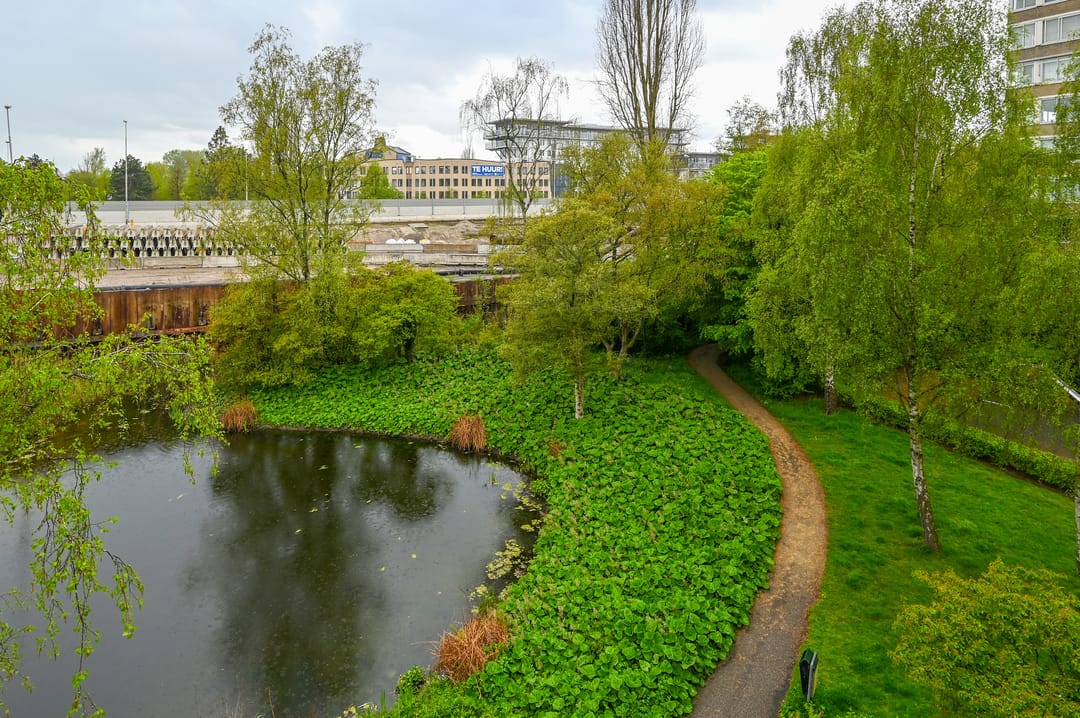 Foto 11 van Meander 995