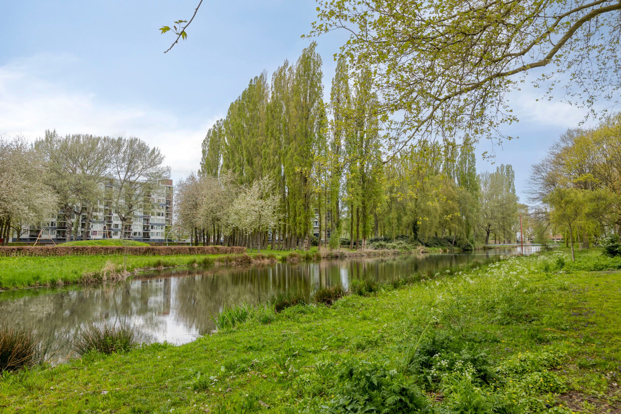 Foto 21 van Willem van Boelrestraat 3