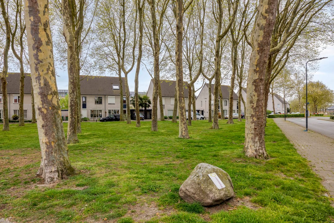 Foto 23 van Willem van Boelrestraat 3