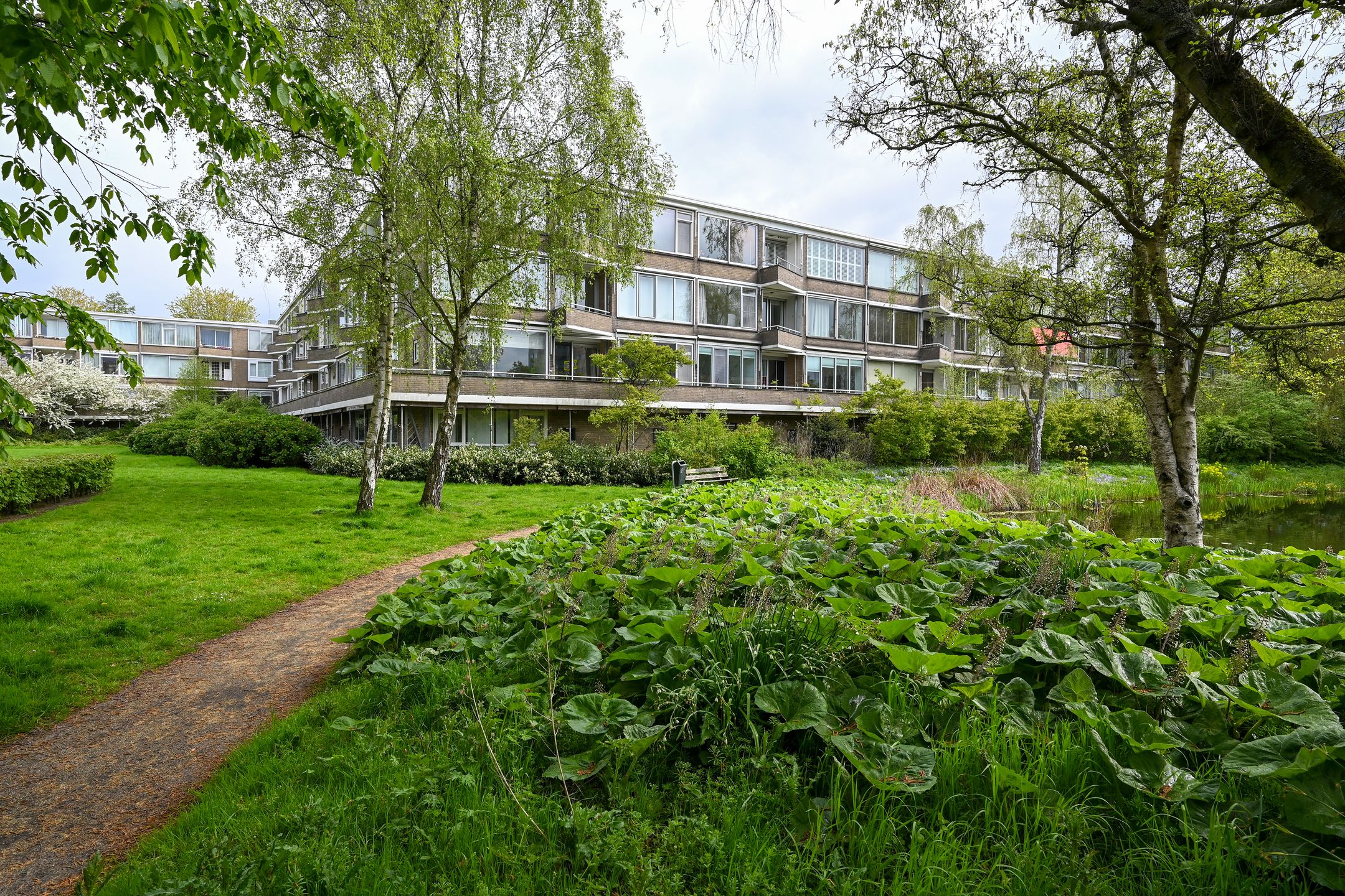 Foto 21 van Meander 995