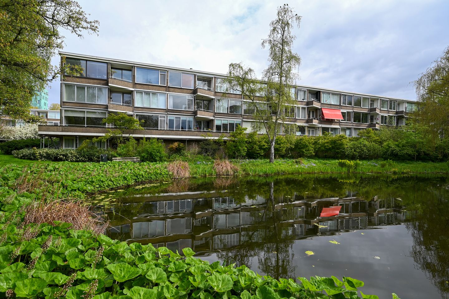 Foto 20 van Meander 995