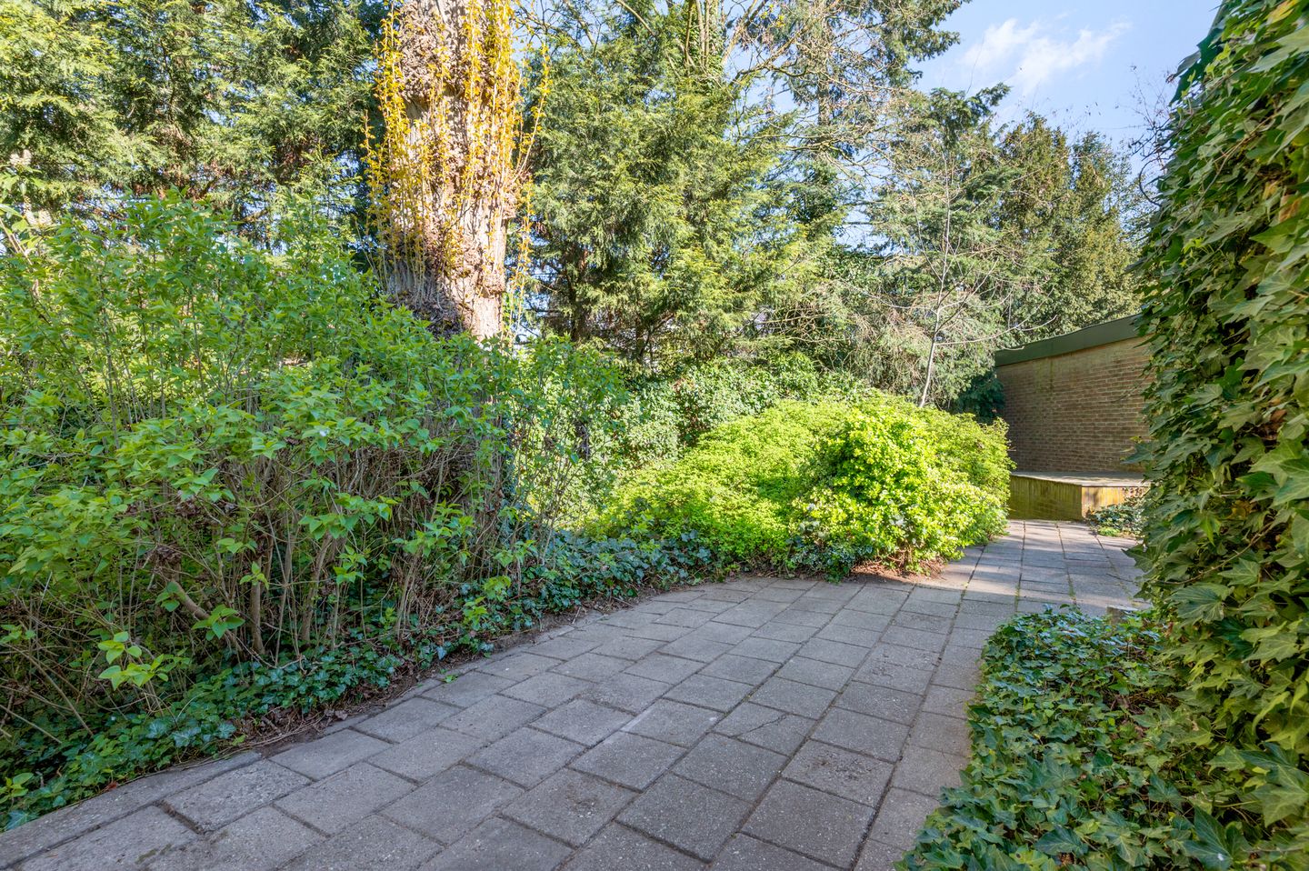 Foto 29 van Irenelaan 30