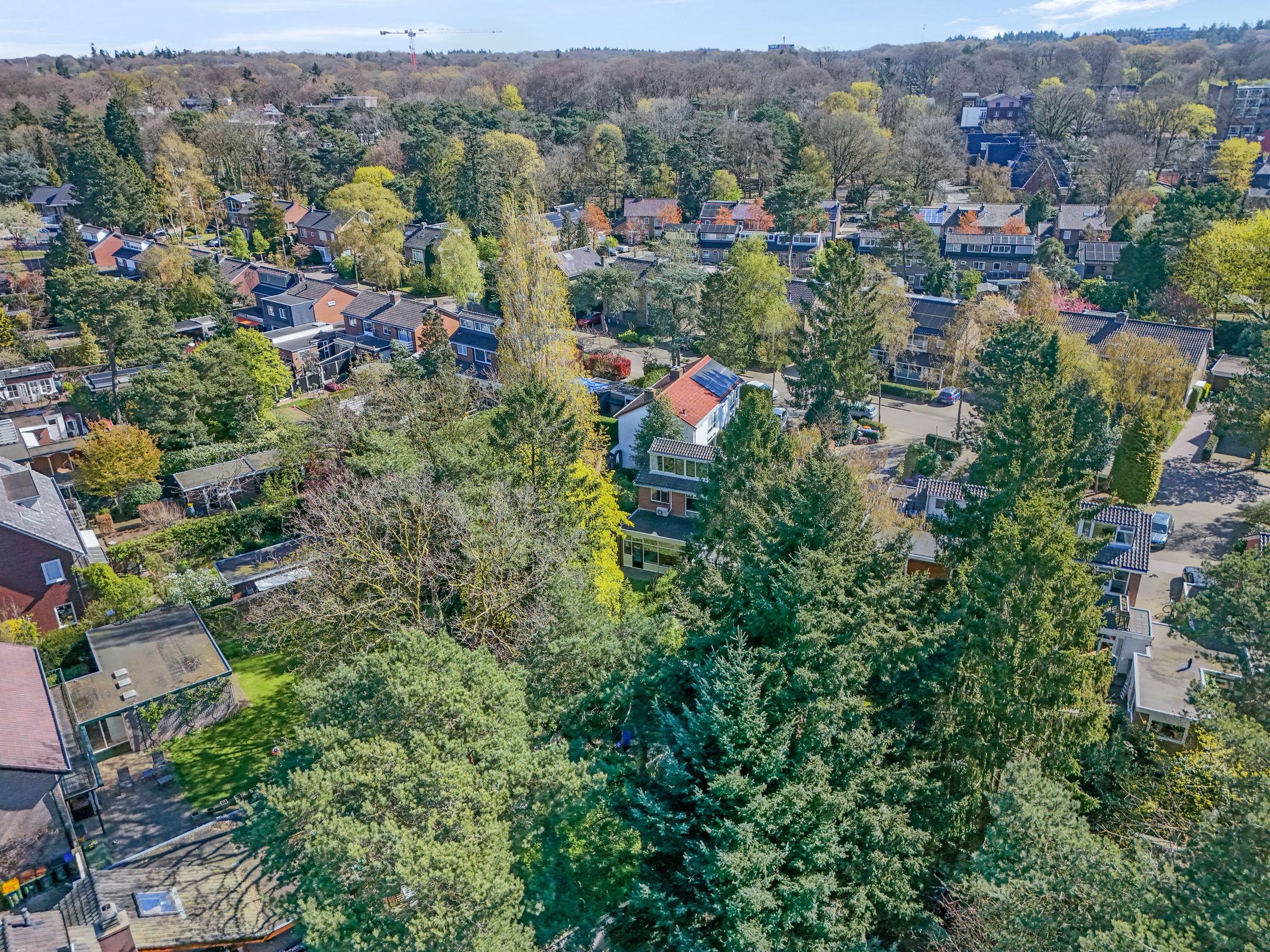 Foto 42 van Irenelaan 30