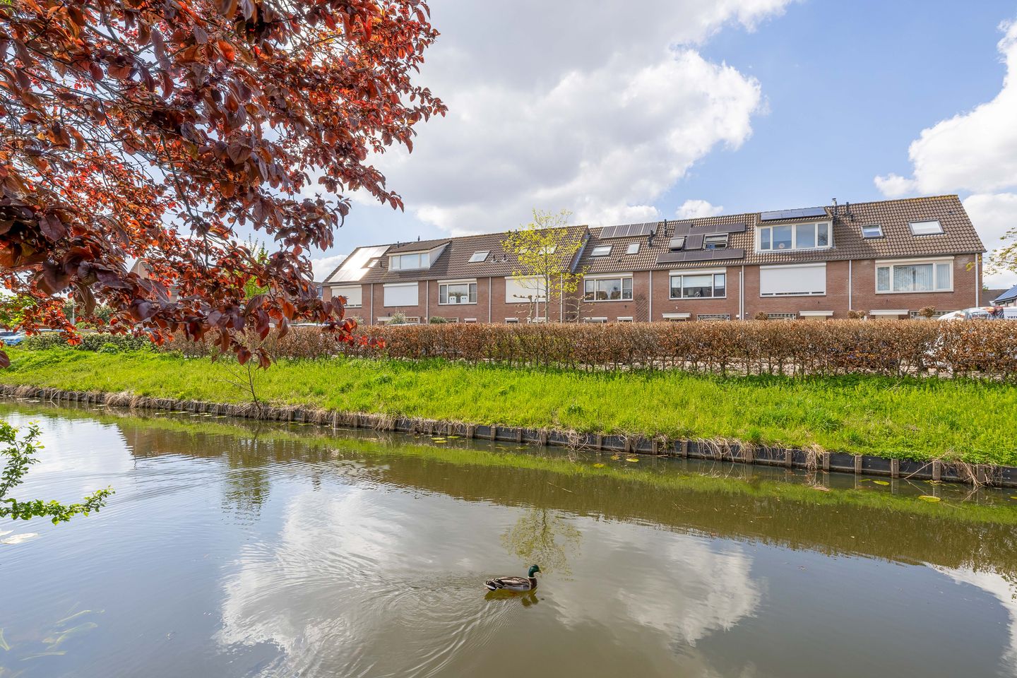 Foto 35 van Coen Botrede 6