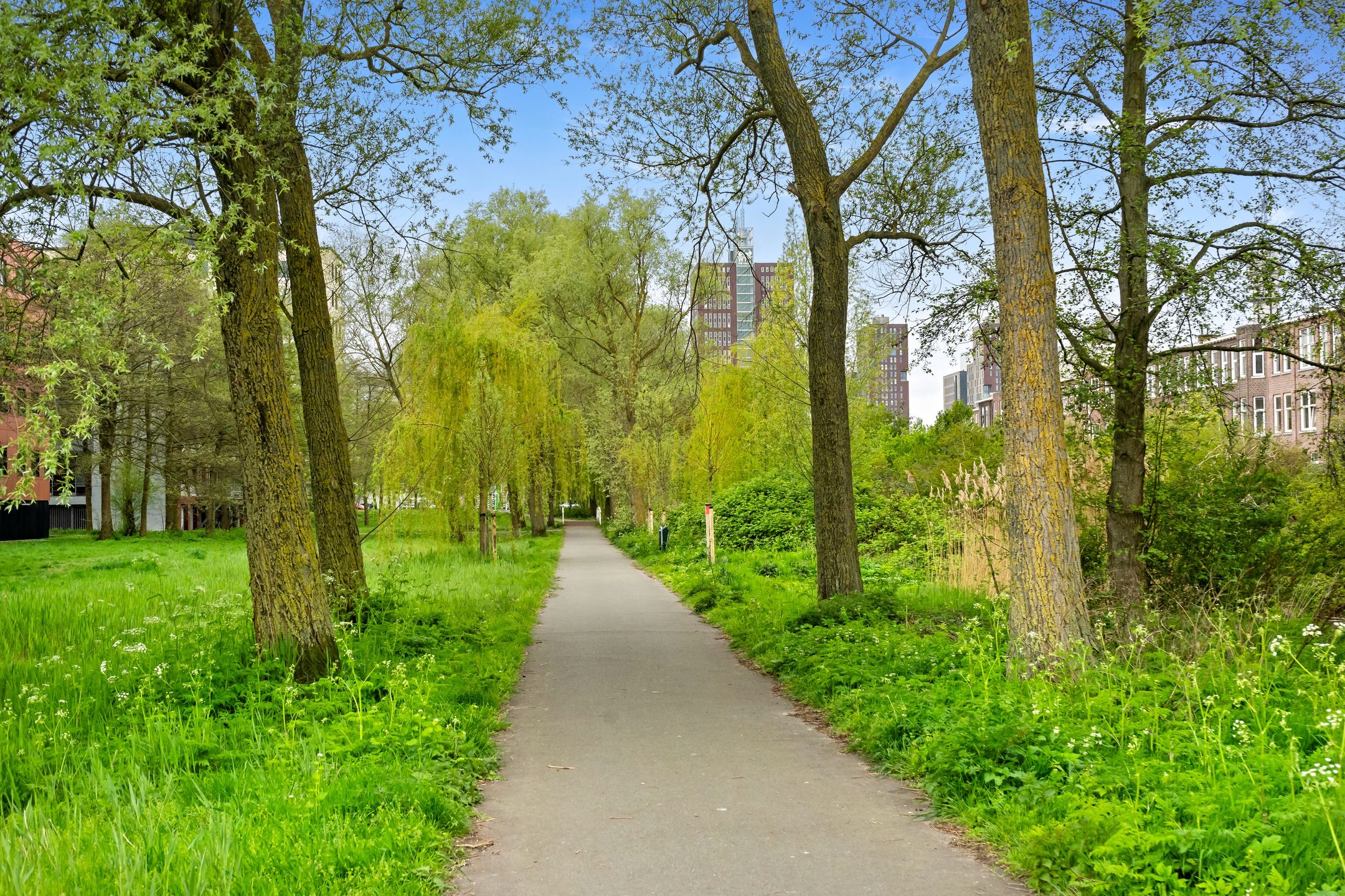 Photo 33 of Usselincxstraat 88