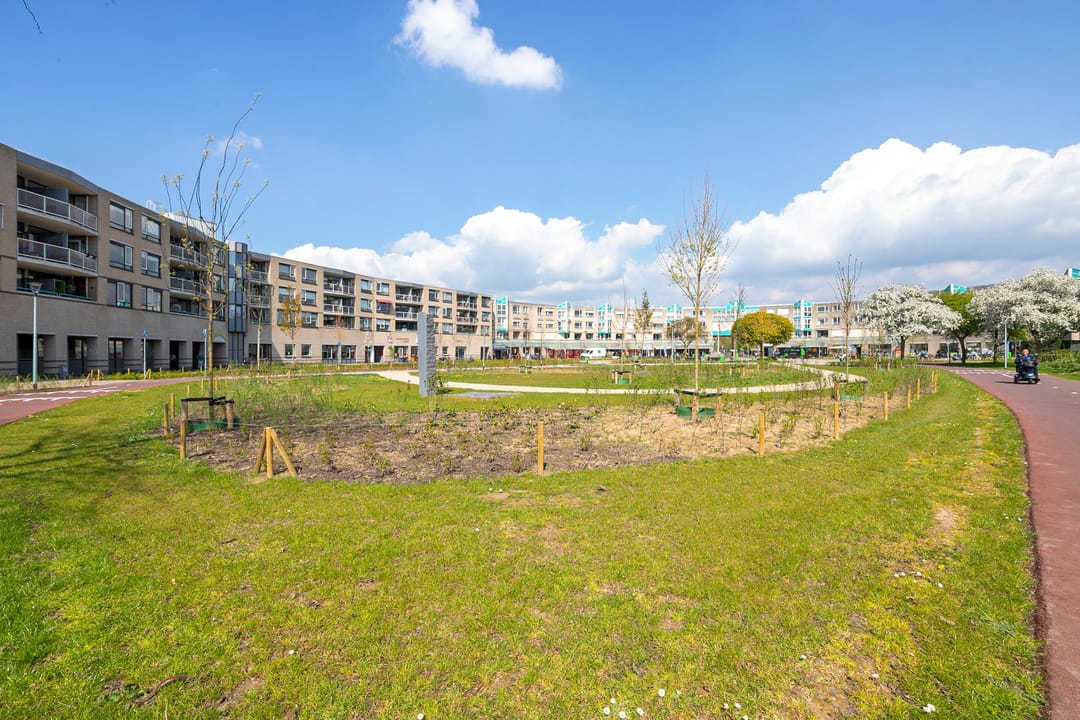 Foto 28 van Eilandplein 232