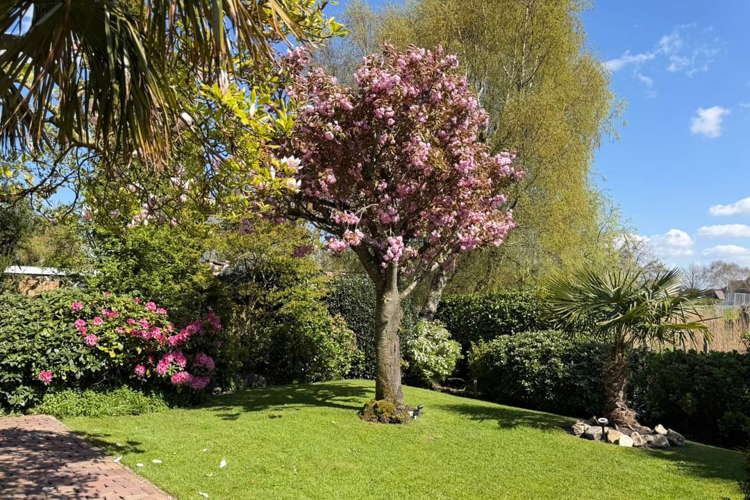 Foto 61 van Strandwal 19