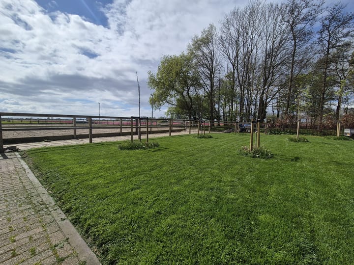 Photo 5 of Oudijk 45-A