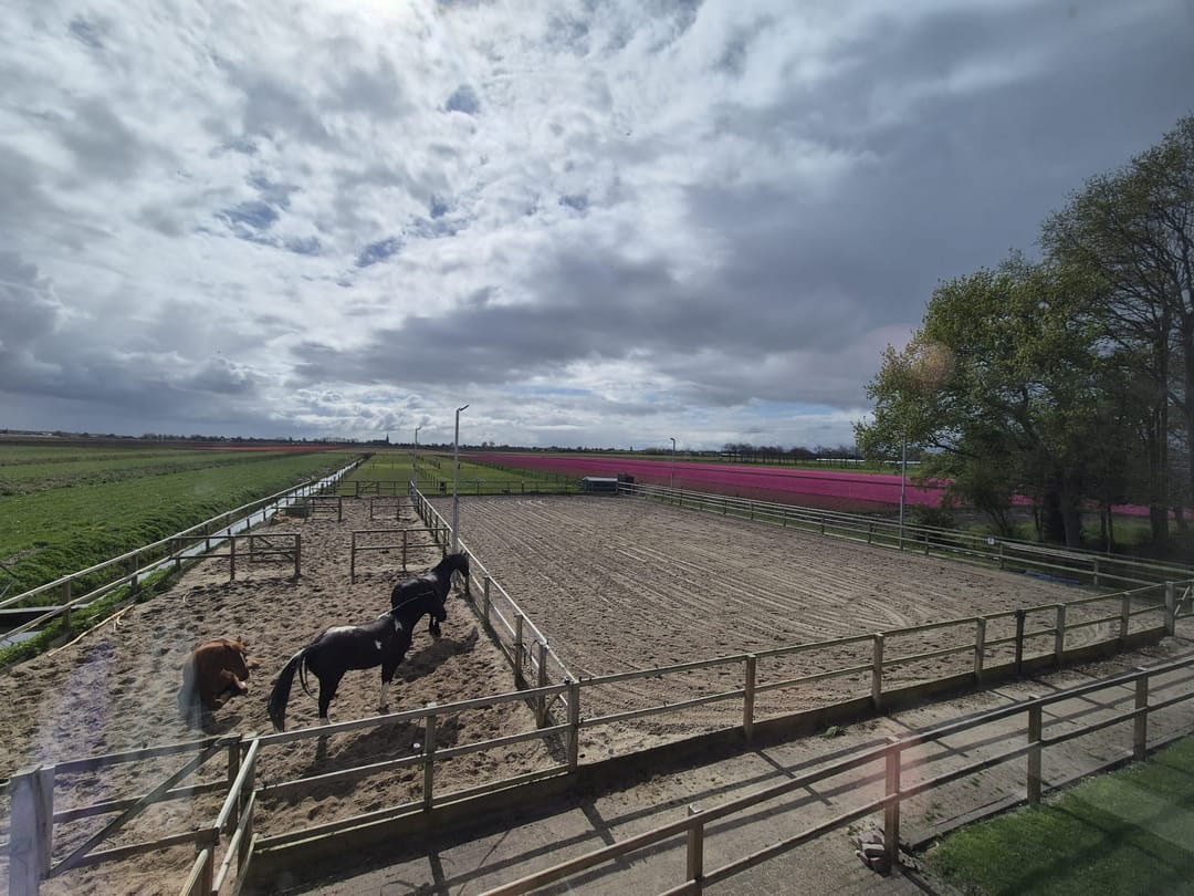 Photo 22 of Oudijk 45-A