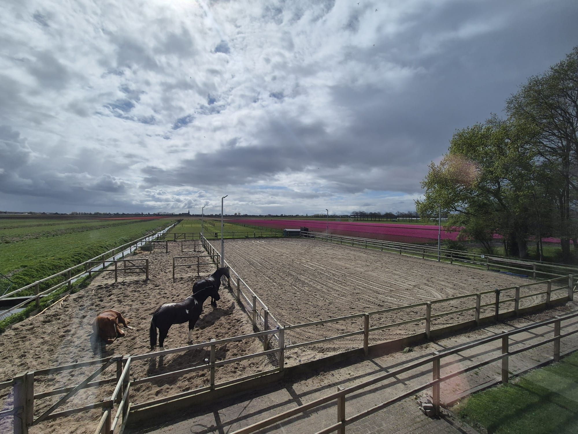 Photo 21 of Oudijk 45-A