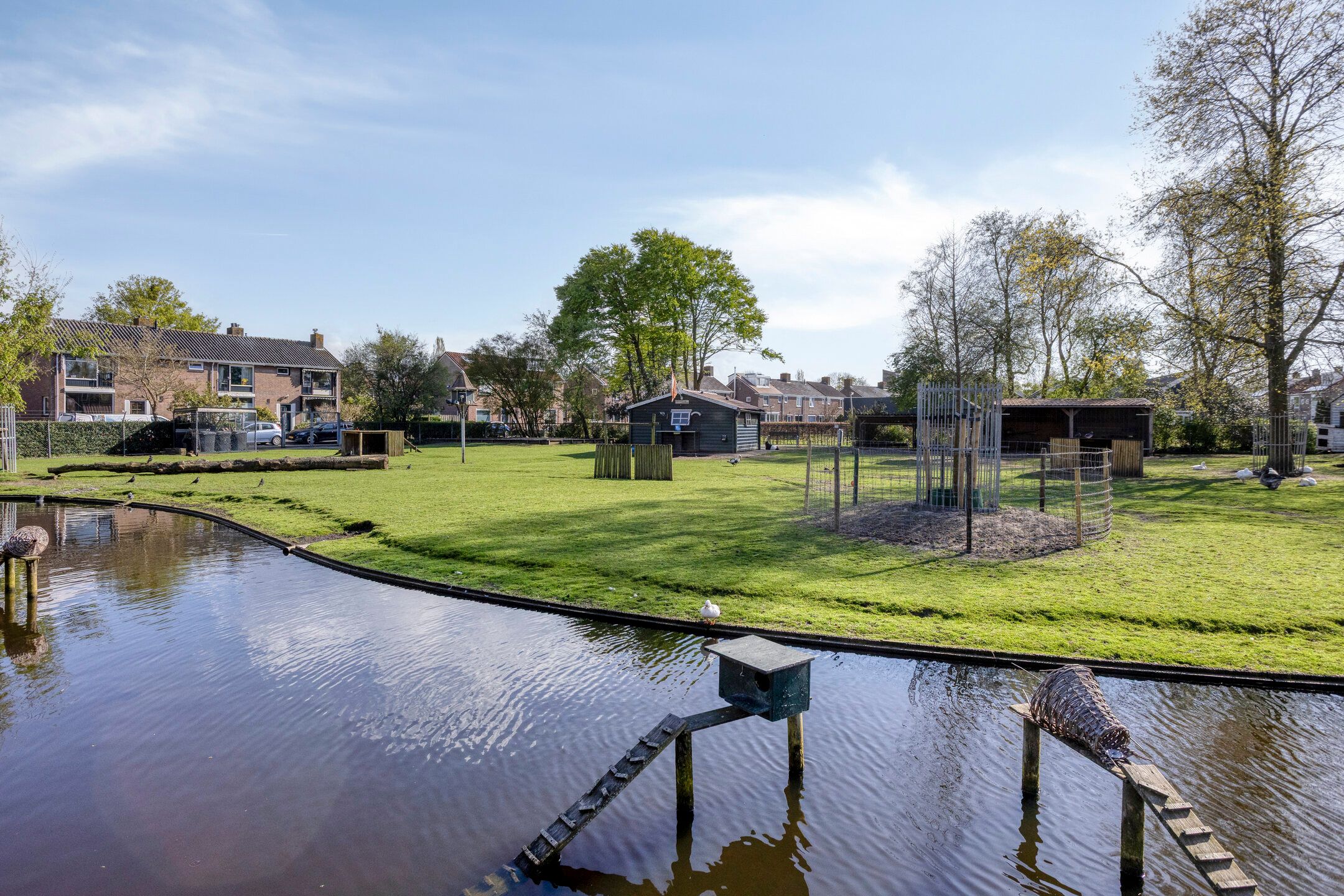 Foto 42 van Chrysanthenstraat 12