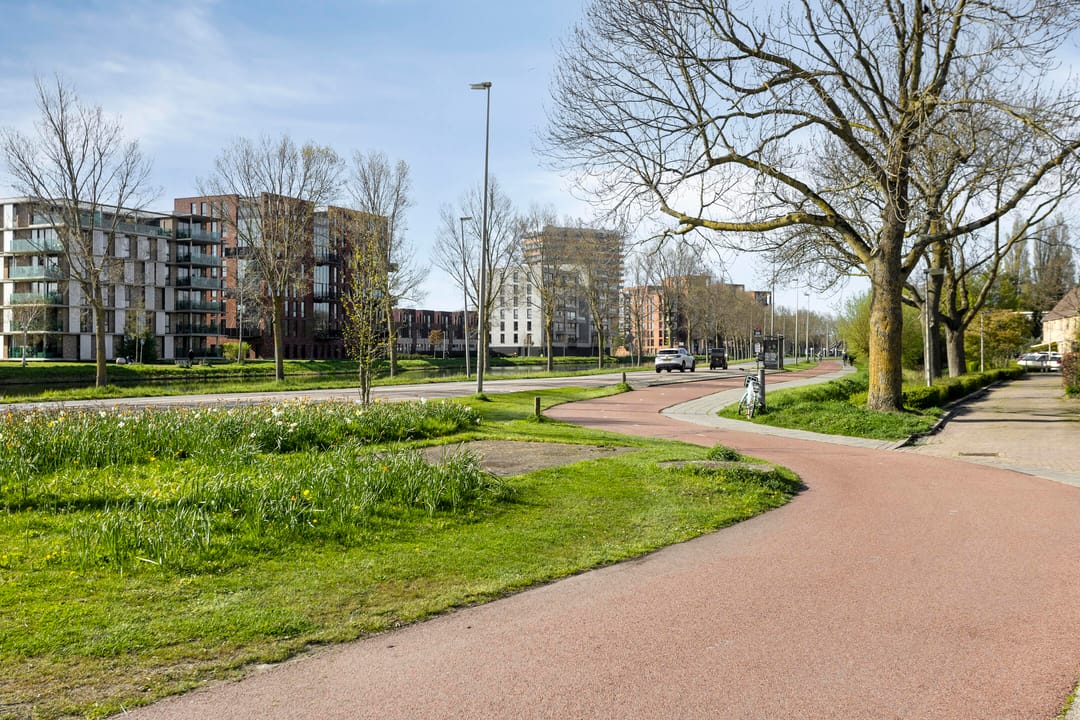 Foto 43 van Chrysanthenstraat 12