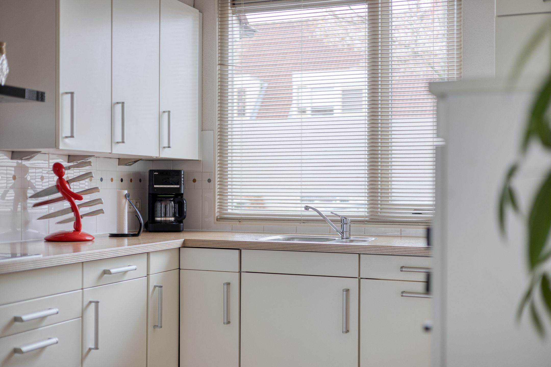 Foto 21 van Mosroos 15