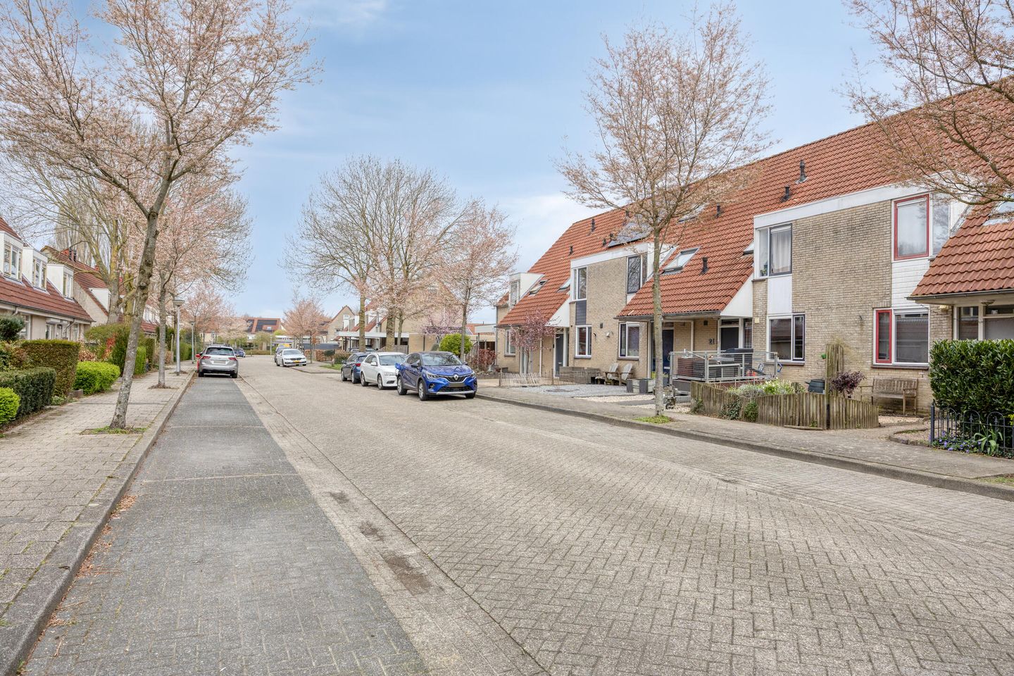 Foto 5 van Mosroos 15