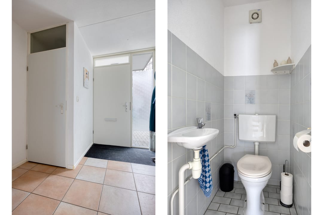 Foto 7 van Mosroos 15