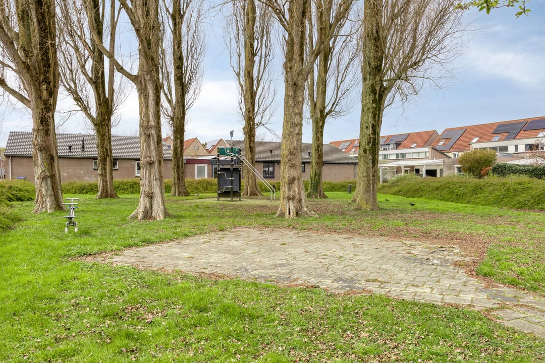 Foto 38 van Mosroos 15