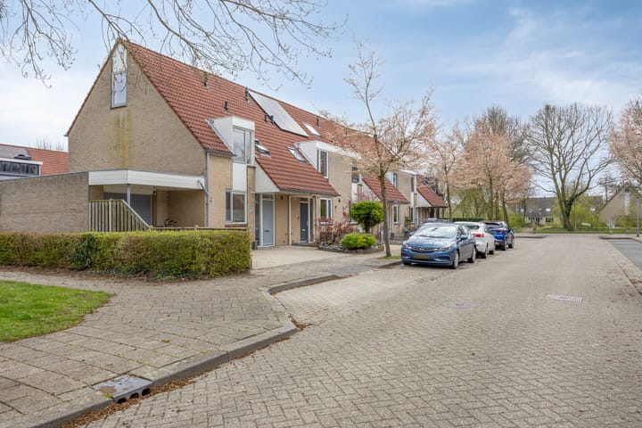 Foto 4 van Mosroos 15