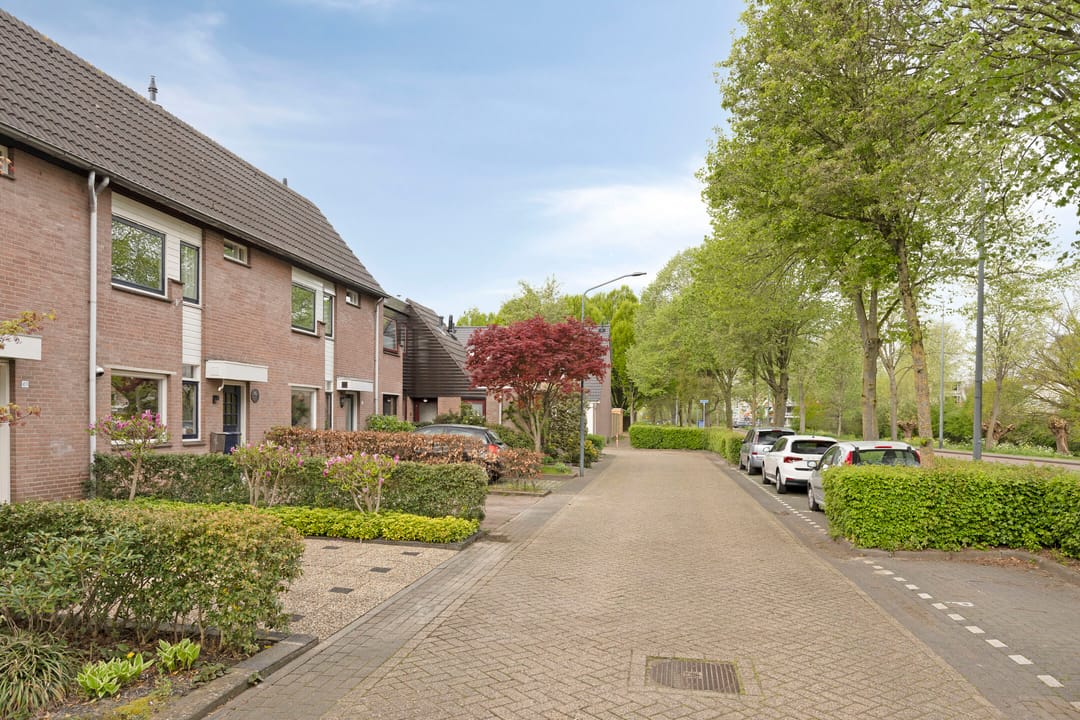 Foto 8 van Desselaar 45