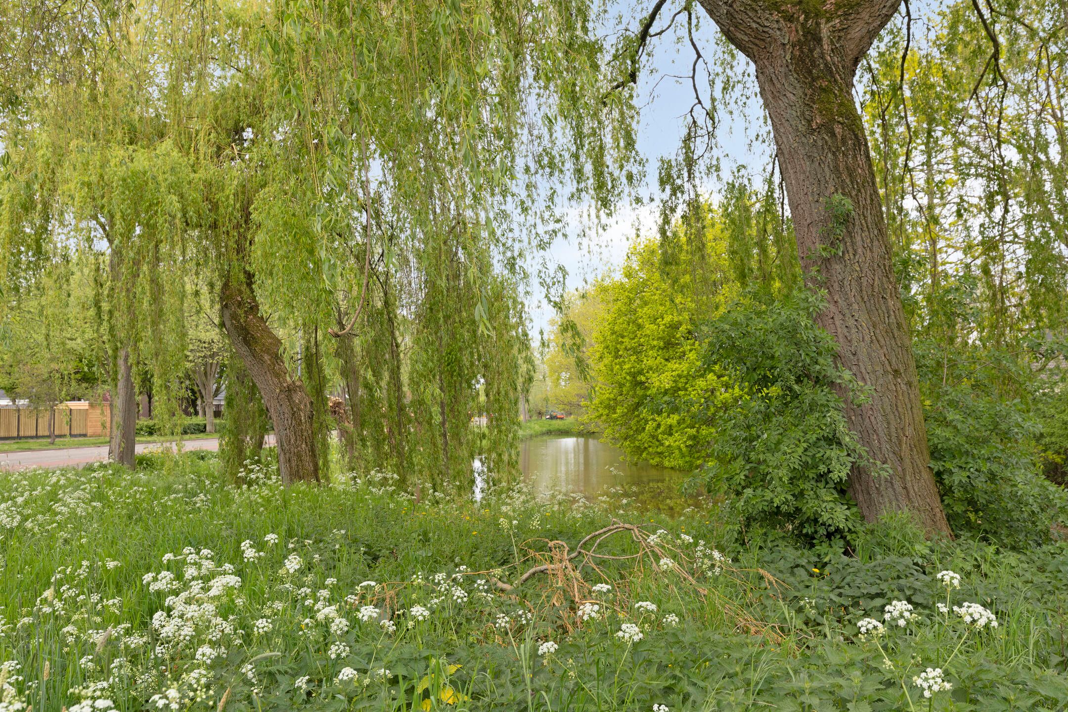 Foto 39 van Desselaar 45