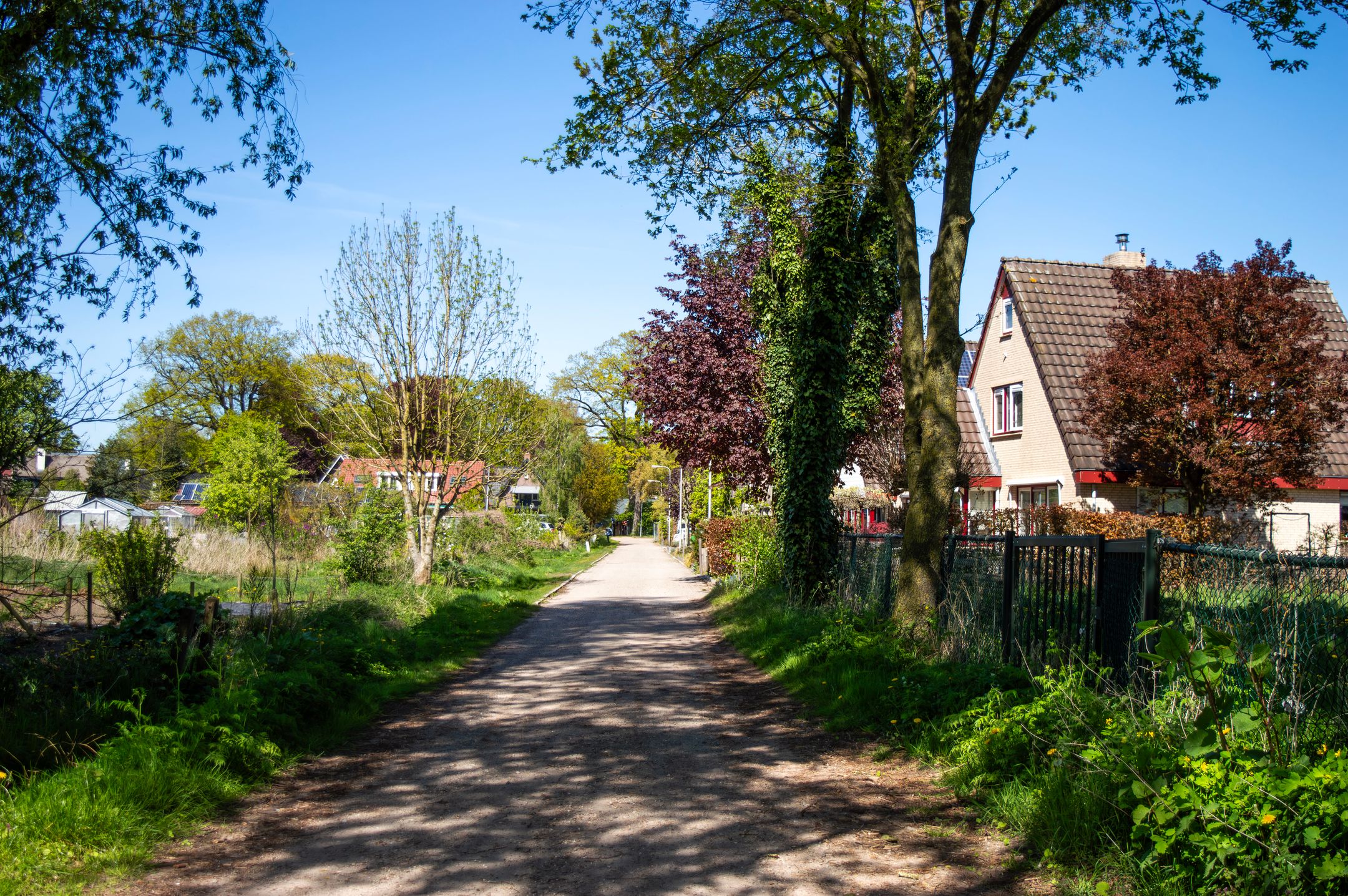 Foto 3 van Wuitekampweg