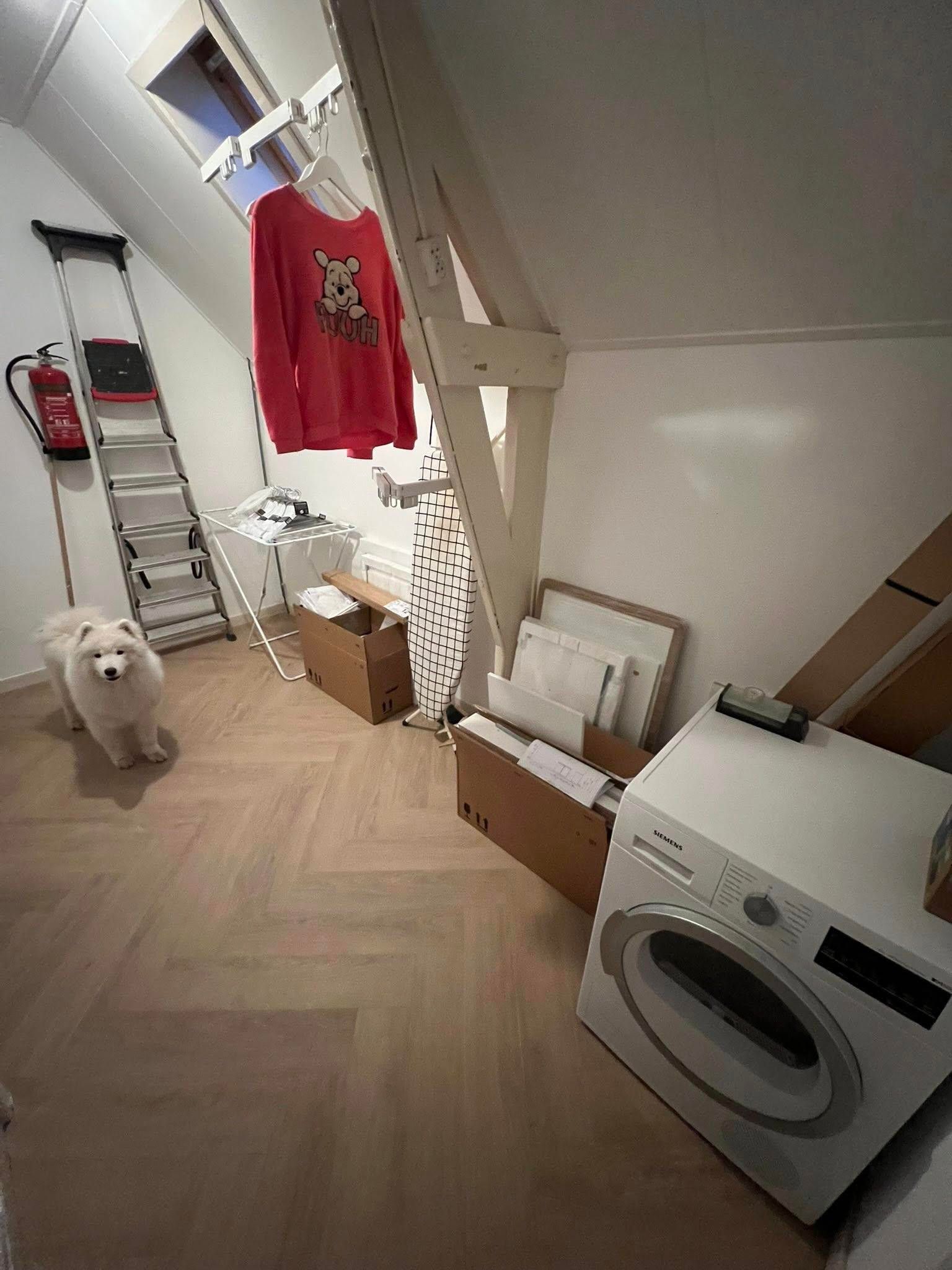 Foto 12 van Mariastraat 4