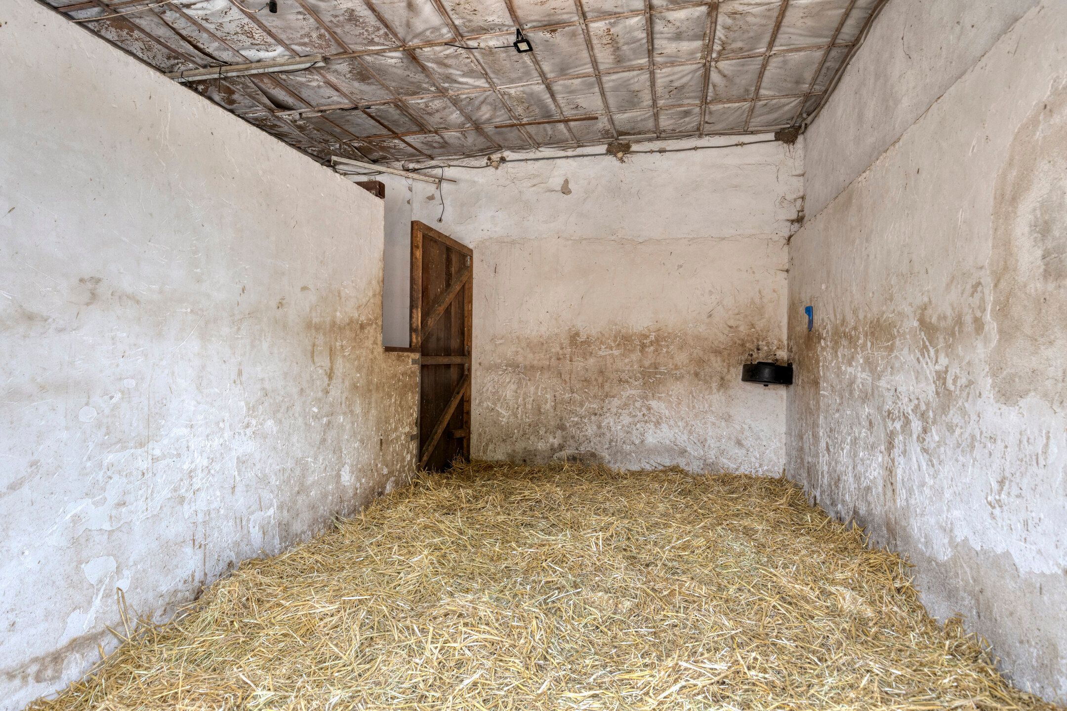 Foto 33 van Parksesteeg 4