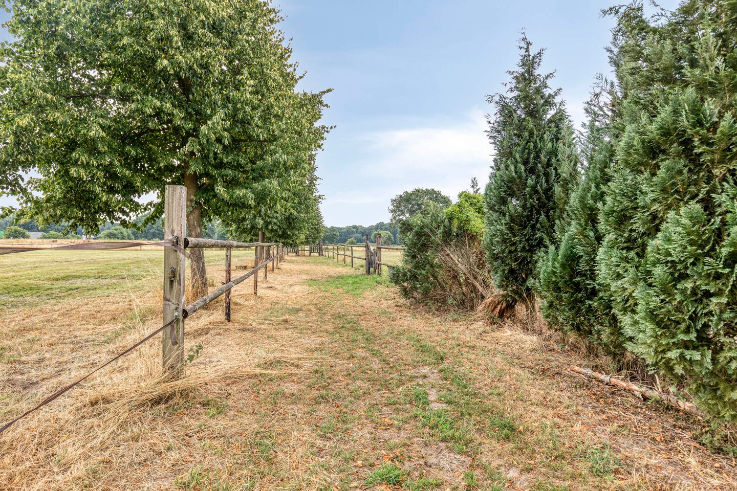 Foto 35 van Parksesteeg 4