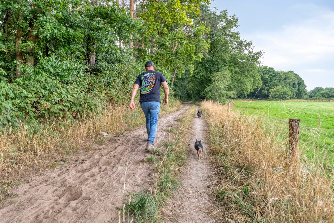 Foto 41 van Parksesteeg 4