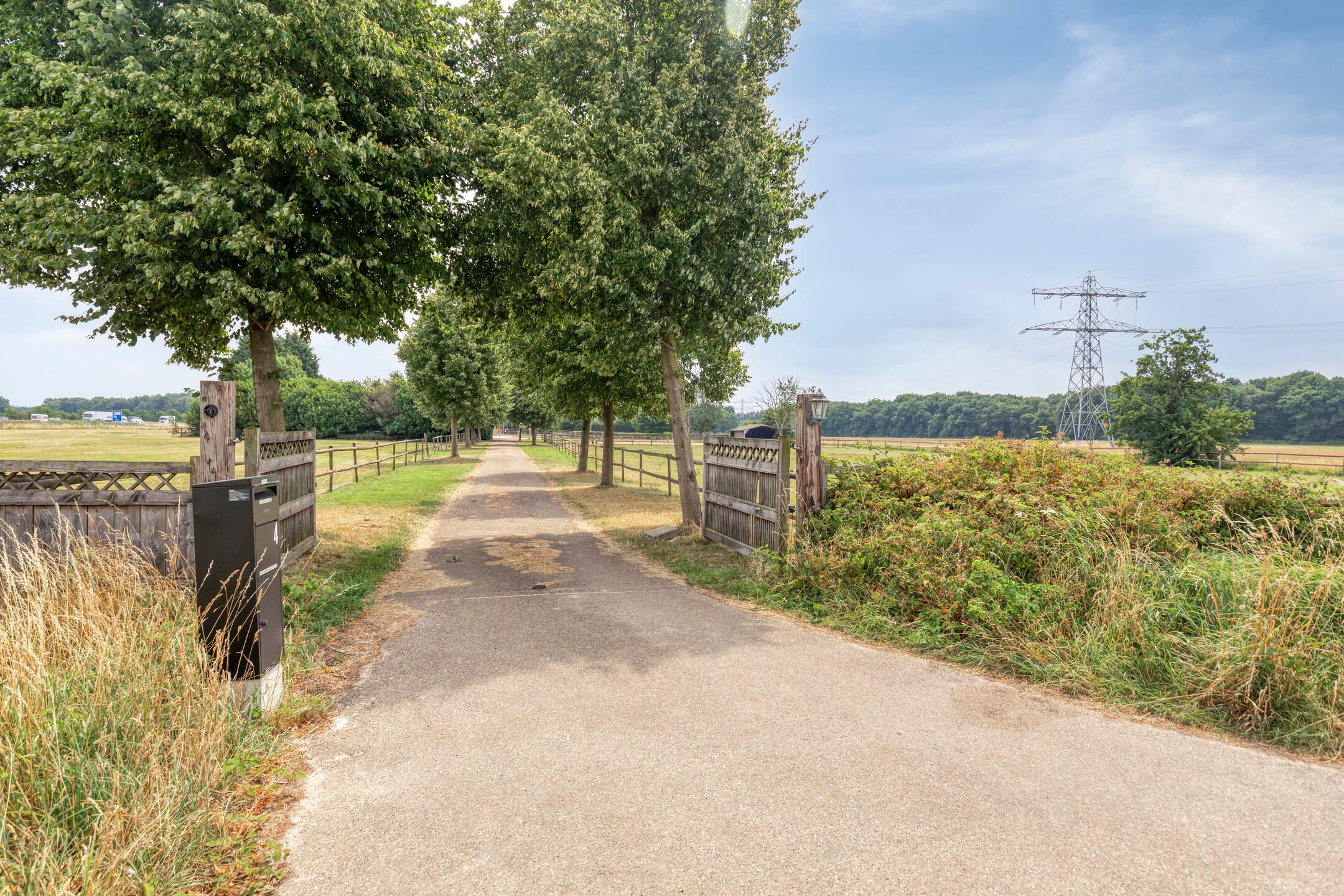 Foto 39 van Parksesteeg 4