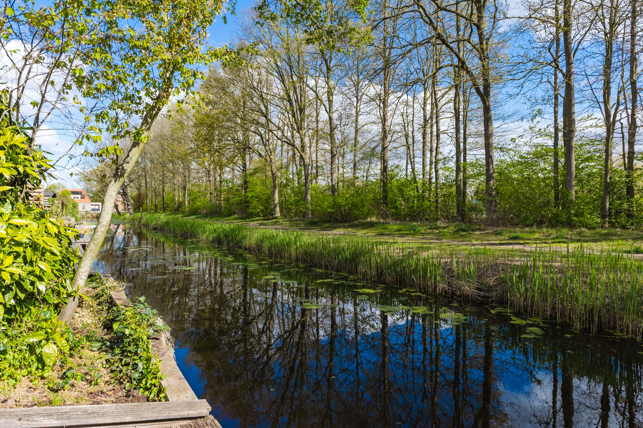 Foto 18 van Expansielaan 34