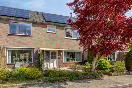 Beatrijspad thumbnail