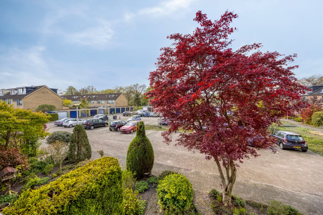 Photo 28 of Beatrijspad 31